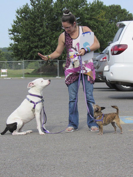 Okie from Muskogee: Six enjoys working with dogs